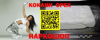 МДПВ Кингисепп