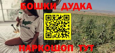 МДПВ Кингисепп