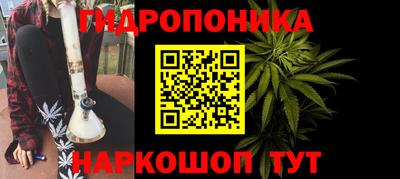 стаф Кимры