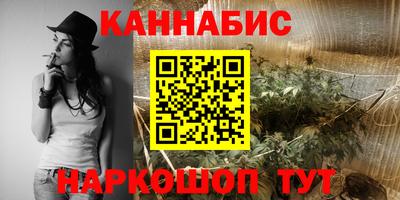 МДПВ Кингисепп