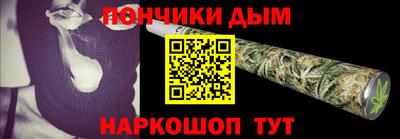 МДПВ Кингисепп