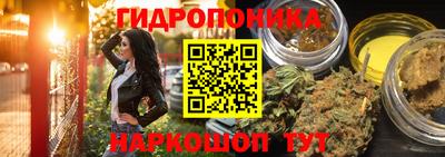 стаф Кимры