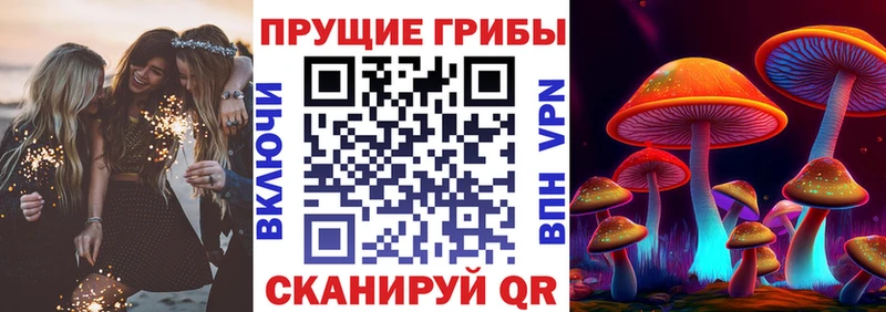 Псилоцибиновые грибы MAGIC MUSHROOMS Йошкар-Ола